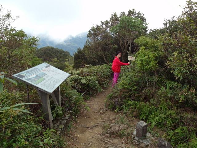 白雞山、雞罩山 (61).JPG