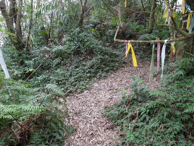 白雞山、雞罩山 (82).JPG