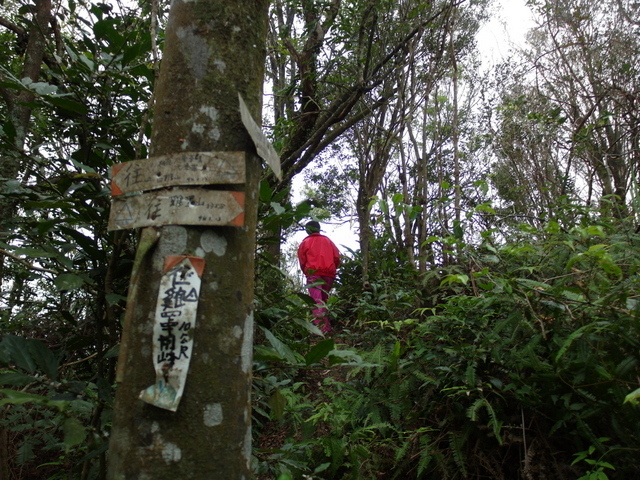 白雞山、雞罩山 (84).JPG