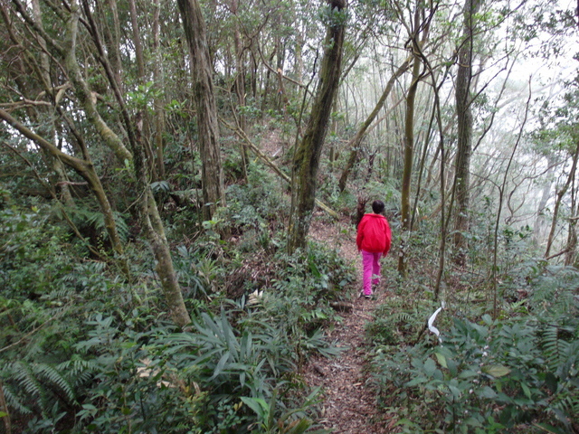 白雞山、雞罩山 (109).JPG