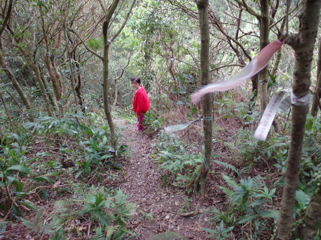 白雞山、雞罩山 (111).JPG