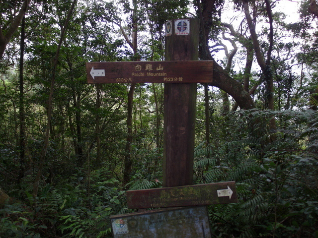 白雞山、雞罩山 (128).JPG