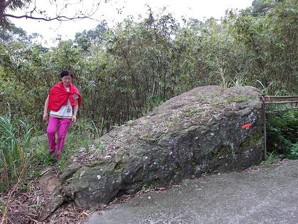 白雞山、雞罩山 (136).JPG