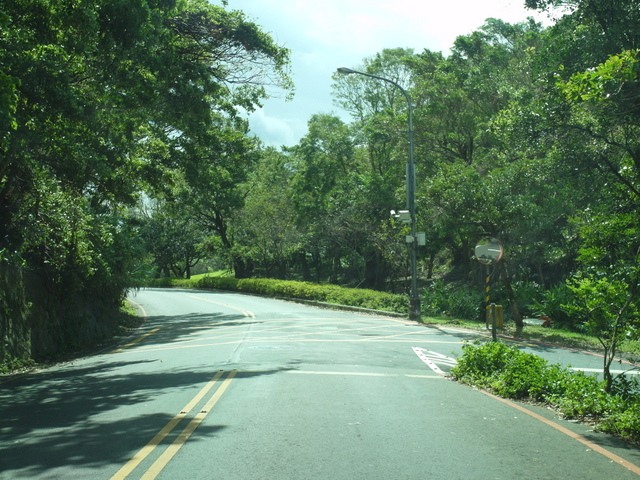 竹子湖步道  (14).JPG