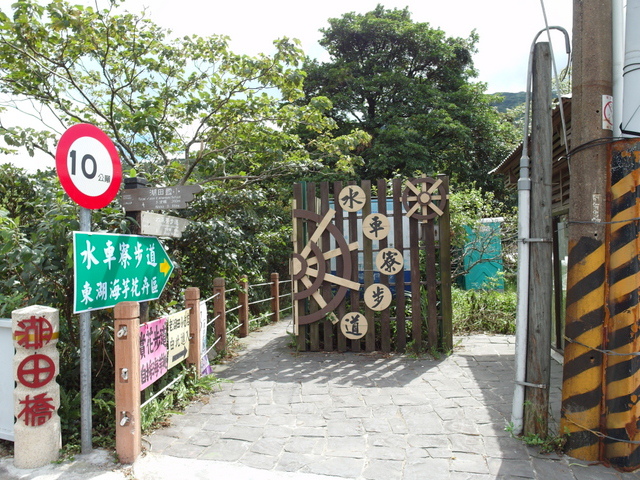 竹子湖步道  (29).JPG