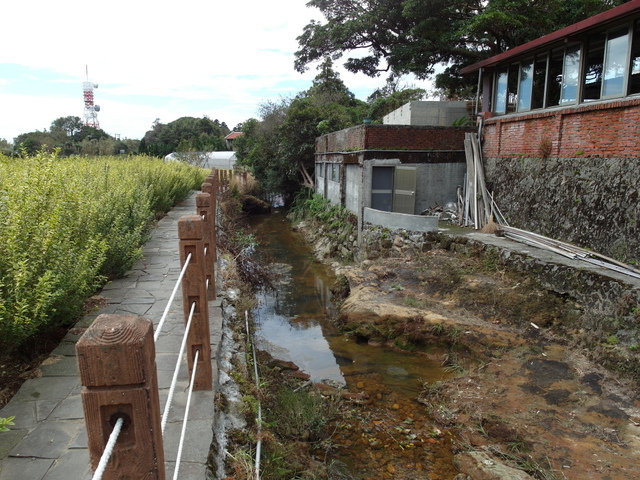 竹子湖步道  (32).JPG