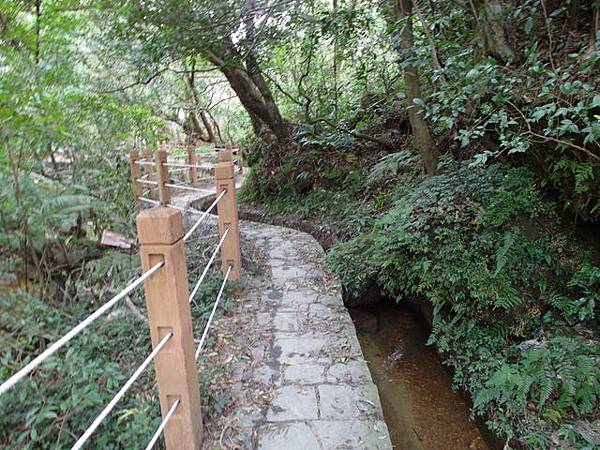 竹子湖步道  (34).JPG