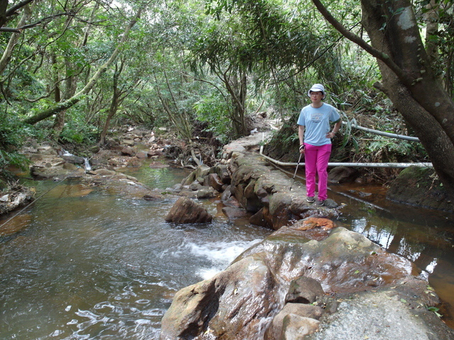 竹子湖步道  (50).JPG