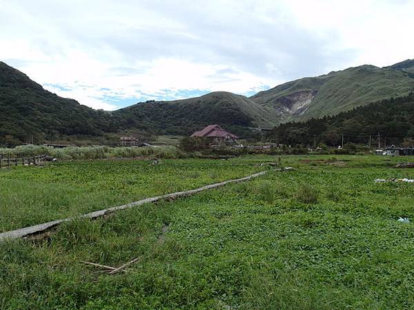 竹子湖步道  (84).JPG