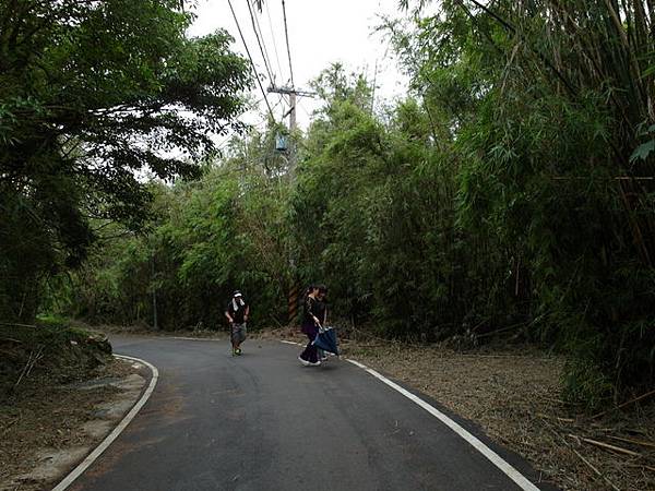 竹子湖步道  (133).JPG