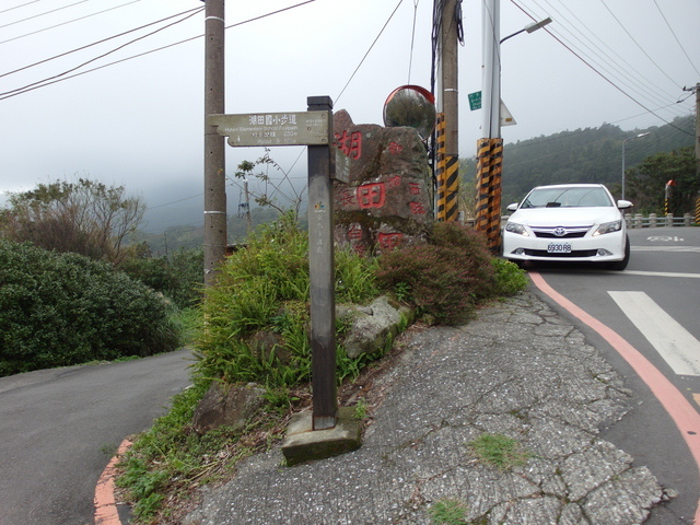 竹子湖步道  (176).JPG