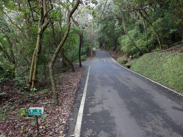 竹子湖步道  (208).JPG