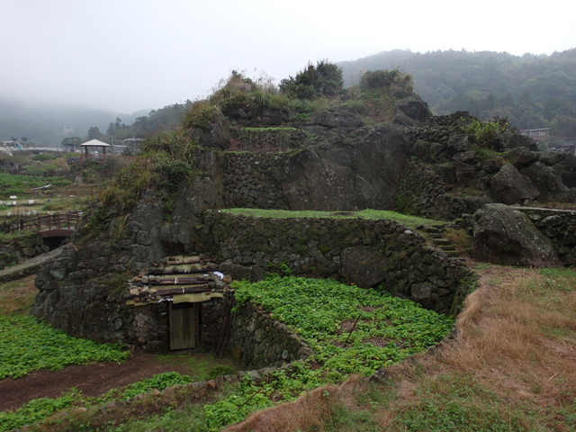 竹子湖步道  (256).JPG