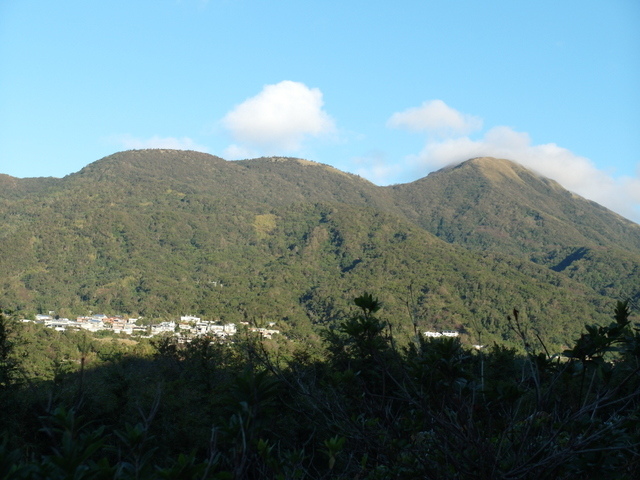 竹子湖步道  (304).JPG