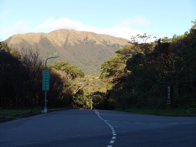 竹子湖步道  (313).JPG