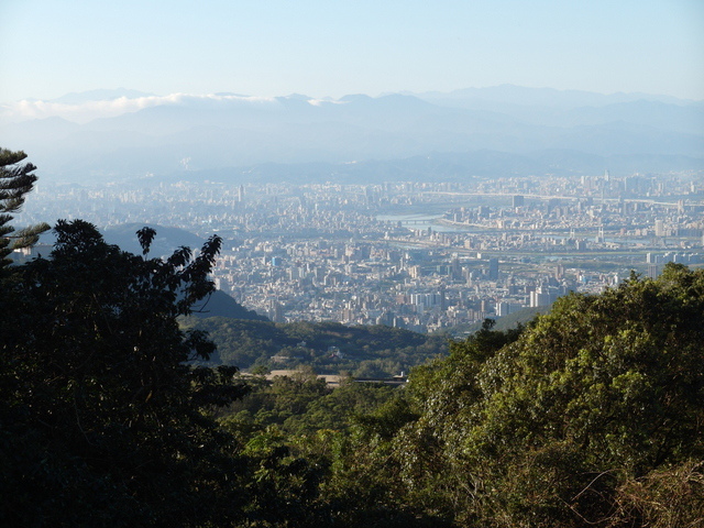 竹子湖步道  (315).JPG