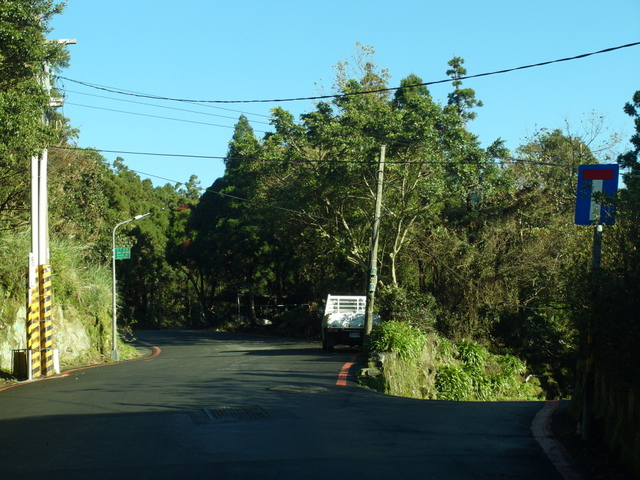 竹子湖步道  (334).JPG