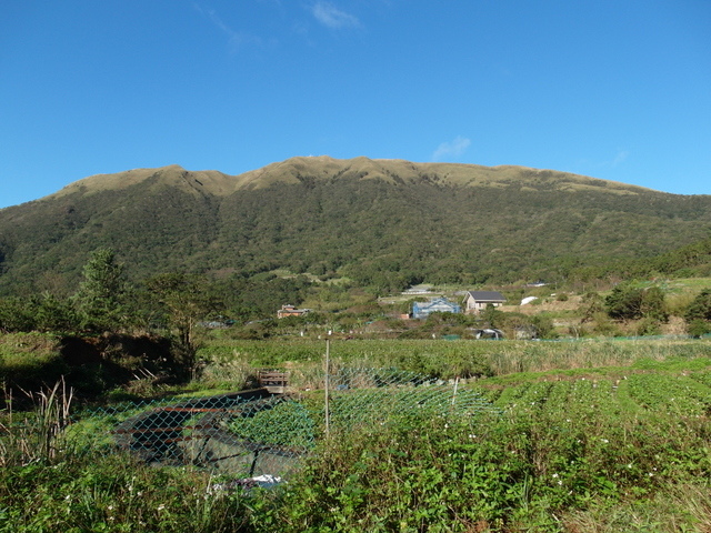 竹子湖步道  (360).JPG