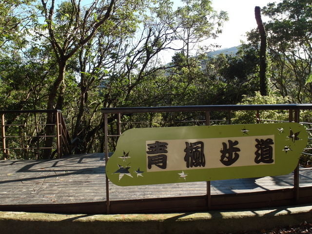 竹子湖步道  (388).JPG