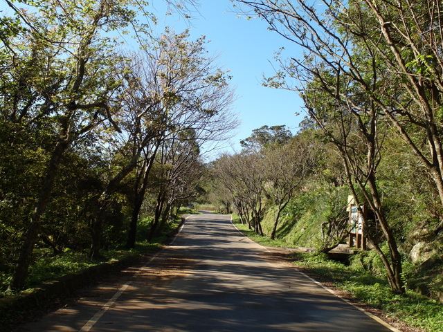 竹子湖步道  (391).JPG