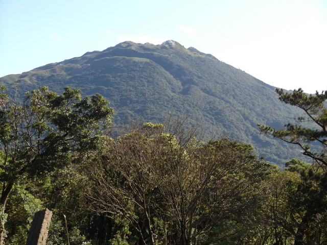 竹子湖步道  (394).JPG