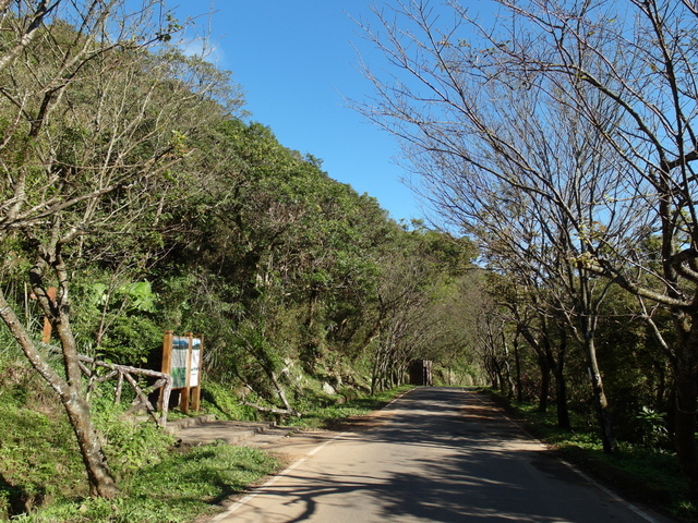 竹子湖步道  (395).JPG