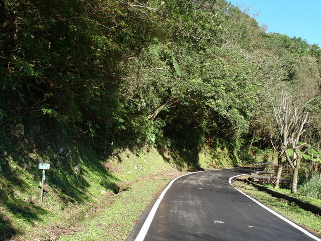 竹子湖步道  (396).JPG