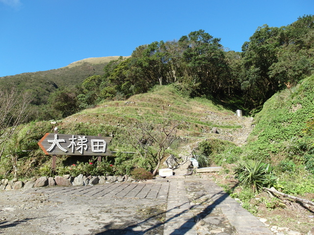 竹子湖步道  (419).JPG