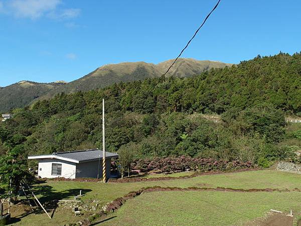 竹子湖步道  (435).JPG