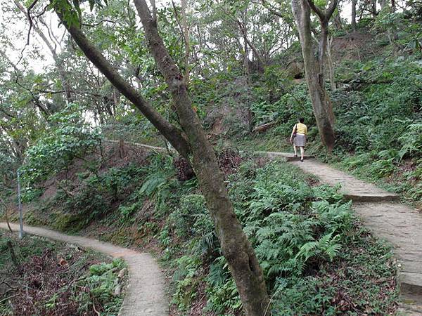 白鷺鷥山 (23).JPG