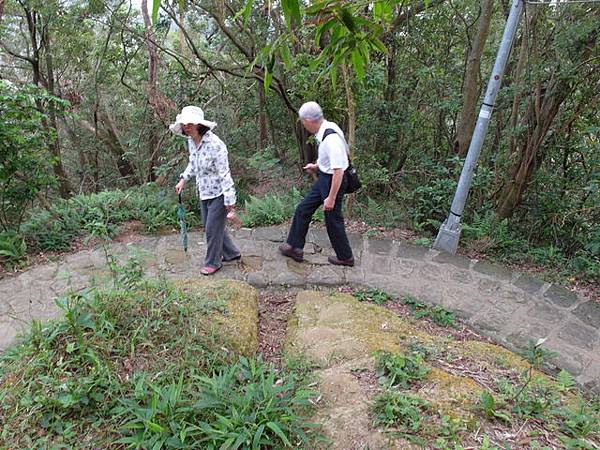 白鷺鷥山 (46).JPG