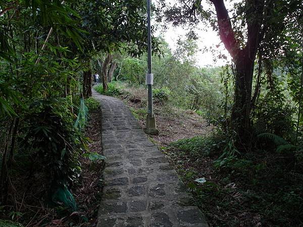 白鷺鷥山 (49).JPG