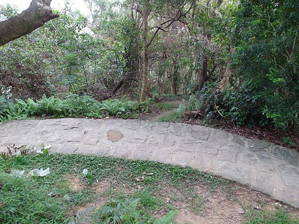 白鷺鷥山 (48).JPG