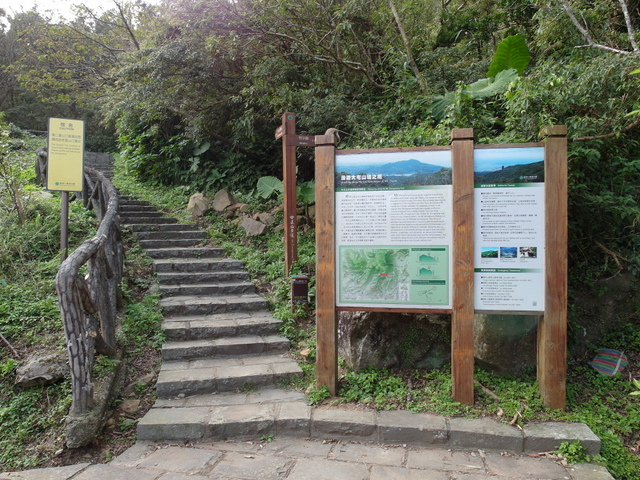 竹子湖步道 (484).JPG