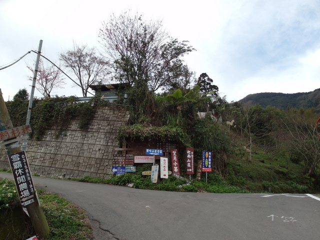 鳥嘴山、大窩山 (12).JPG