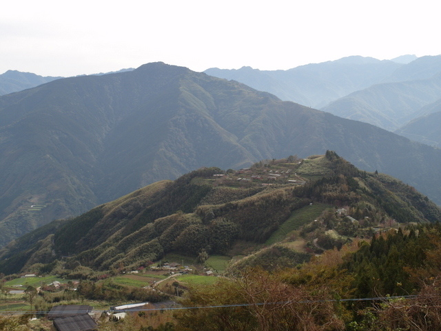 鳥嘴山、大窩山 (23).JPG