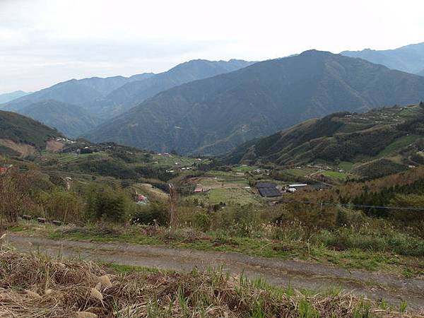 鳥嘴山、大窩山 (25).JPG