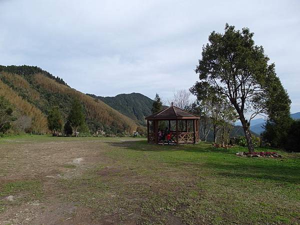 鳥嘴山、大窩山 (30).JPG