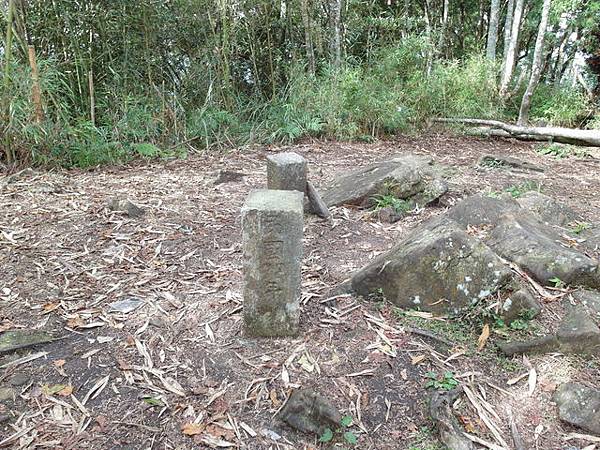 鳥嘴山、大窩山 (41).JPG