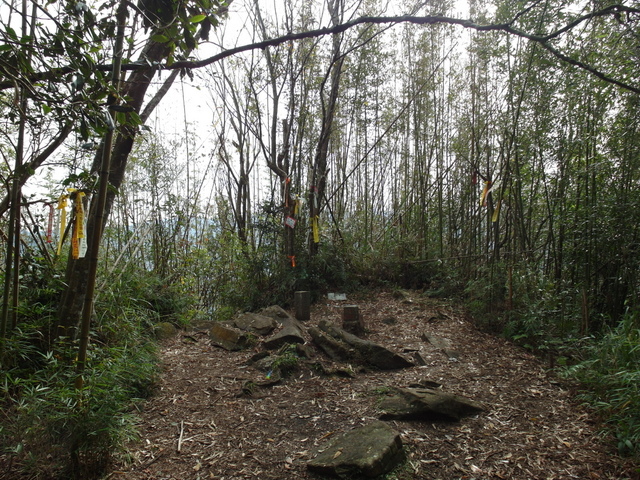 鳥嘴山、大窩山 (51).JPG