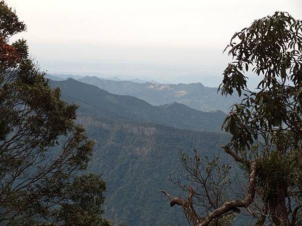 鳥嘴山、大窩山 (67).JPG