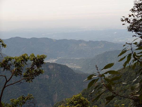 鳥嘴山、大窩山 (69).JPG