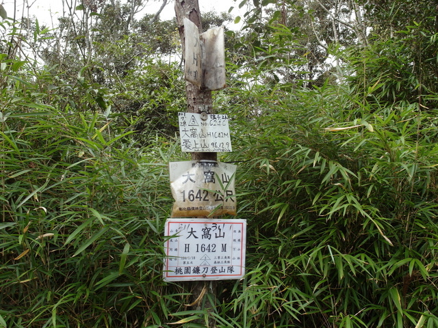 鳥嘴山、大窩山 (135).JPG