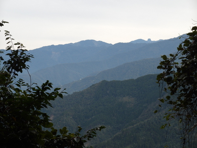 鳥嘴山、大窩山 (152).JPG