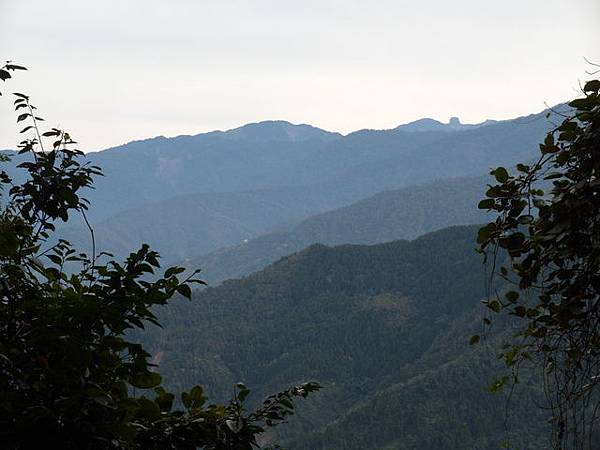 鳥嘴山、大窩山 (152).JPG