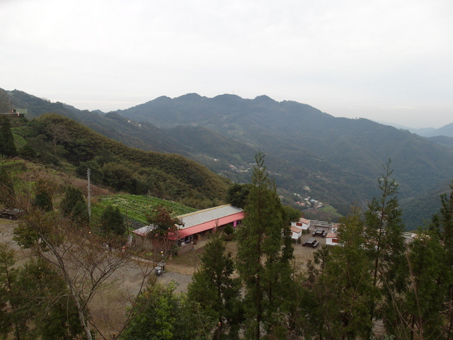 鳥嘴山、大窩山 (197).JPG