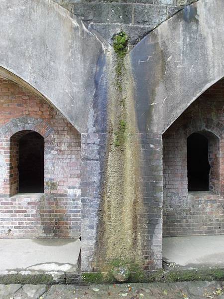 大武崙山 (45).jpg