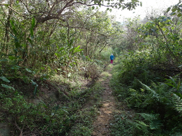 康樂山 (76).JPG