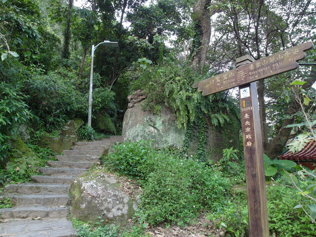 白鷺鷥山 (108).JPG