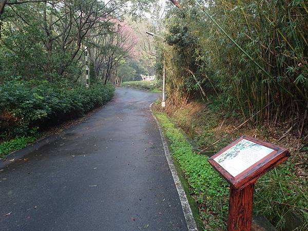 橫嶺古道 (6).JPG